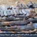 مقتل اثنين من عناصر داعش وأسر آخر في كمين لتنظيم قاعدة الجهاد.
