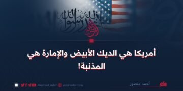 أمريكا هي الديك الأبيض والإمارة هي المذنبة!