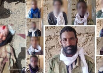 مقتل قيادي بتنظيم داعش الإجرامي في مالي، واستسلام آخر للجيش.