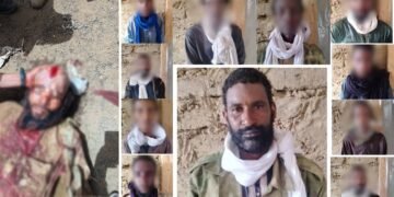 مقتل قيادي بتنظيم داعش الإجرامي في مالي، واستسلام آخر للجيش.