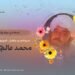 لمحة عن حياة وإنجازات شيخ الحديث والقرآن مولوي محمد عالم حقاني -تقبله الله