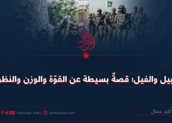 الأبابيل والفيل؛ قصةٌ بسيطة عن القوّة والوزن والنظرية!