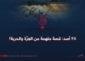 ۲۸ أسد: قصة ملهمة من العِزّة والحرية!