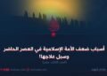 أسباب ضعف الأمة الإسلامية في العصر الحاضر وسبل علاجها!  الجزء الثالث عشر
